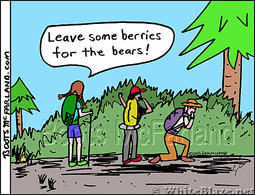 Bear Berries