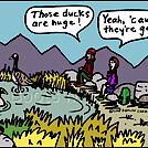 Duck Geese by attroll in Boots McFarland cartoons