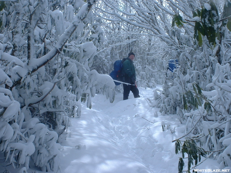 Great Smoky Mts March 2004