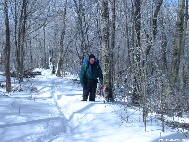 Great Smoky Mts March 2004