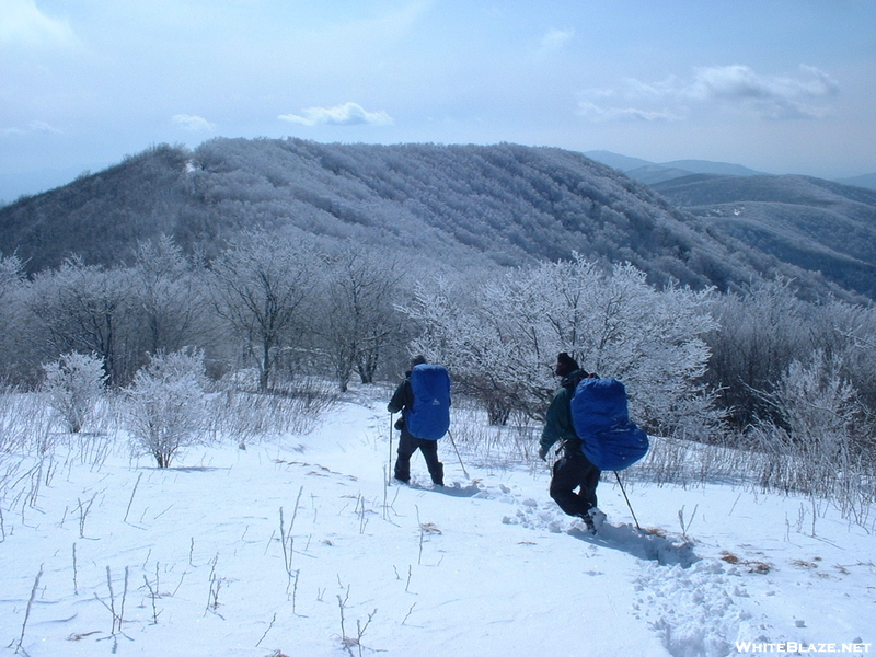 Great Smoky Mts March 2004