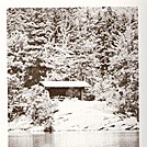 Little Rock Pond Island Shelter by veteran in Vermont Shelters