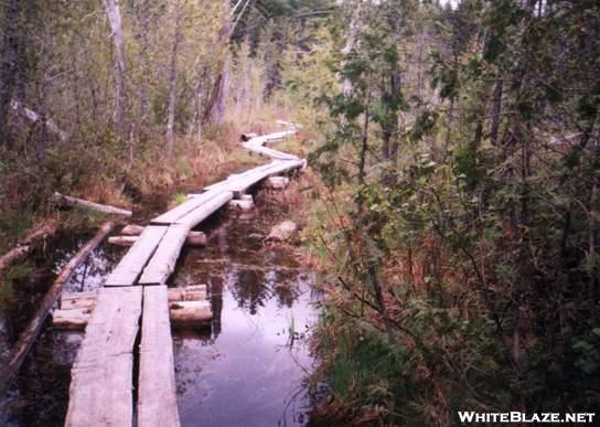 Bog Bridges