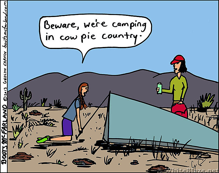 Cow Pie