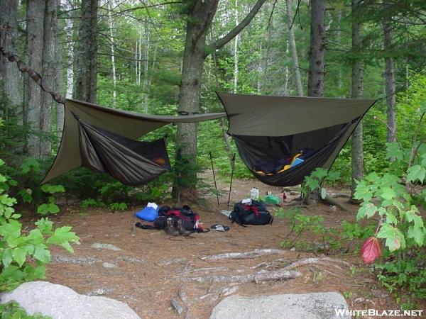 Hammocks