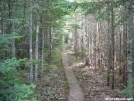 Trail by attroll in Views in Maine