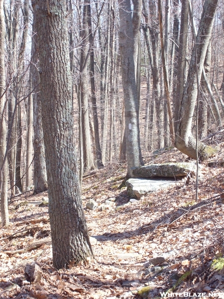 Hike To Sarver's Cabin