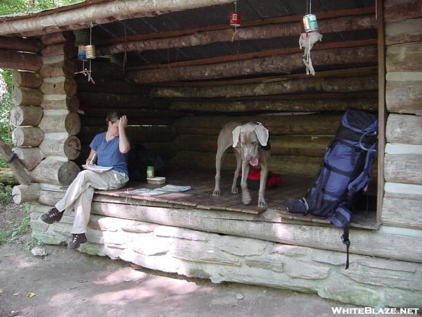 My Hiking Buddy