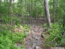 Side trail away from Rutherford Shelter