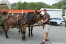 Packmule with mule by Pack Mule in 2006 Trail Days