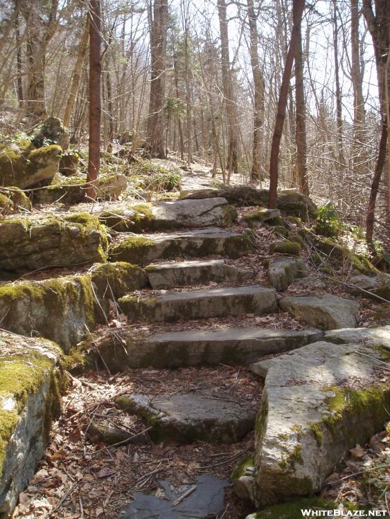 Amazing Trail Construction