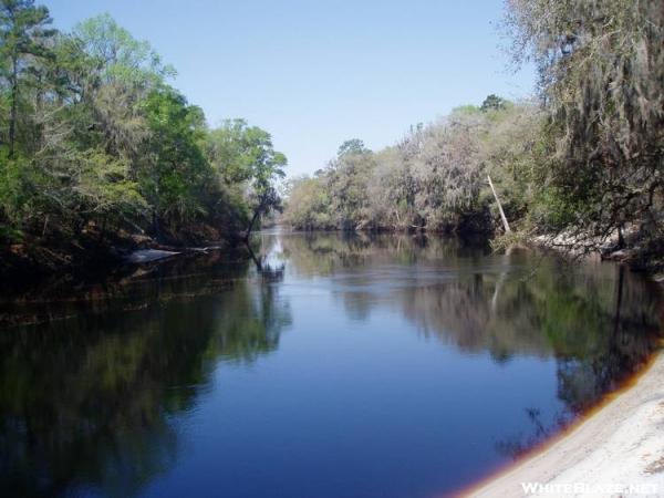 Suwannee River along the Florida Trail