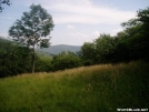 Looking east from Spence Field by MOWGLI in Views in North Carolina & Tennessee