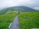 Mowgli in the Roan Highlands by MOWGLI in Trail & Blazes in North Carolina & Tennessee