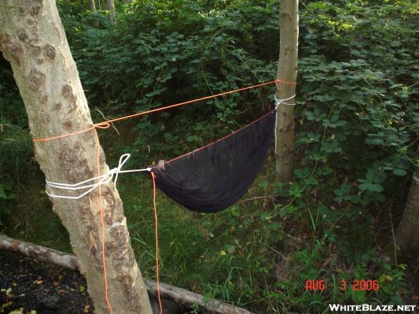 hammock w/o tarp