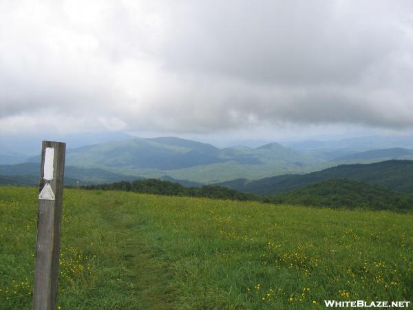 View from Max Patch Bald June 3, 2006.