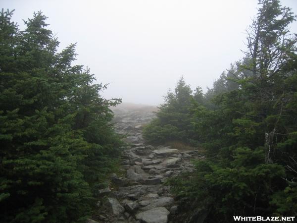 Fog on Mt. Moosilauke