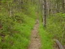 Appalachian Trail: Georgia