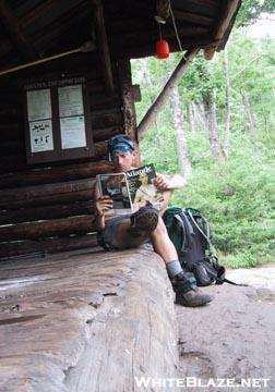 Celt catches up on his reading at the Cowles Cove Shelter (LT)