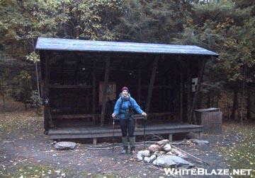 Clarendon Shelter