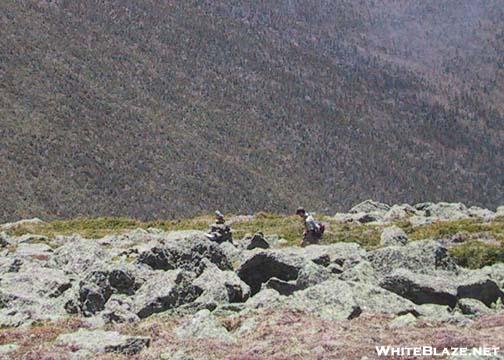 Hiker in The Presidentials