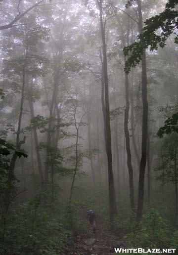 Nesuntabunt Mountain