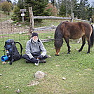 D in grayson highlands sp communing with the horses