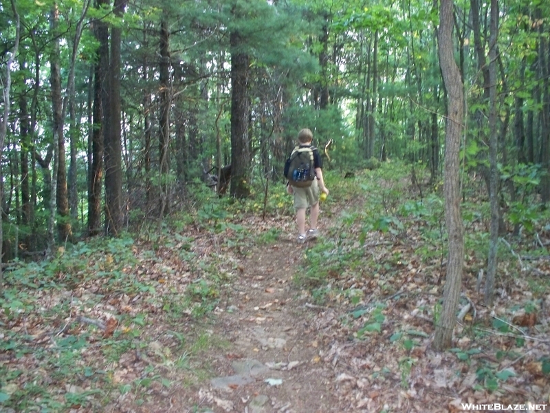 Coosa Back Country Trail Labor Weekend 2007