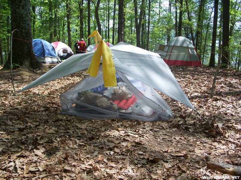 Ray-way Tarp And Net Tent