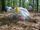 Ray-way Tarp And Net Tent by jesse in Section Hikers