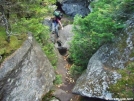 Poison Ivy in the notch 8 by walkin' wally in Views in Maine