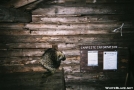 Porcupine in shelter