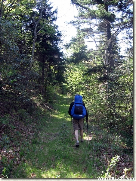 Hiking The Black Mountain Crest Trail