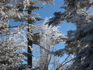 Clingman's Dome Nov 23, 2007 by Egads in Trail & Blazes in North Carolina & Tennessee