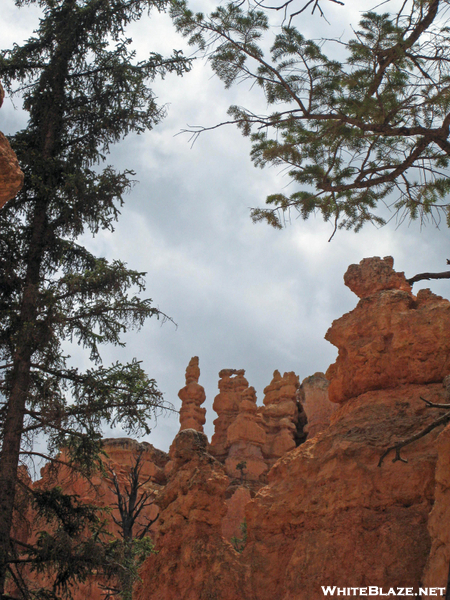 Hoodoos at Bryce on Navajo trail