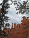 Hoodoos at Bryce on Navajo trail