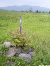 Blaze at Grayson Highlands by Pokey2006 in Trail & Blazes in Virginia & West Virginia