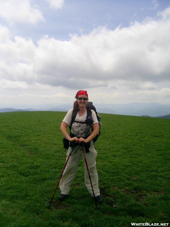 Pokey on Max Patch