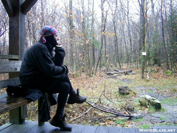 Stratton Pond Shelter