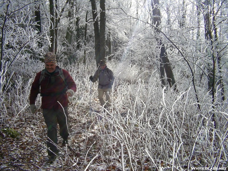 Citico Creek Hike