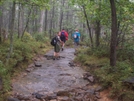  Natural Rock Paving