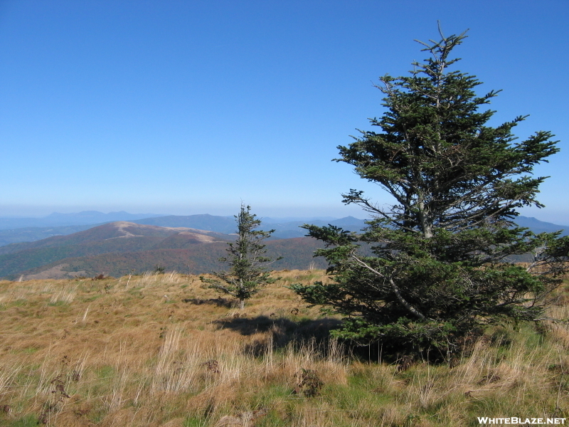 Grassy Ridge