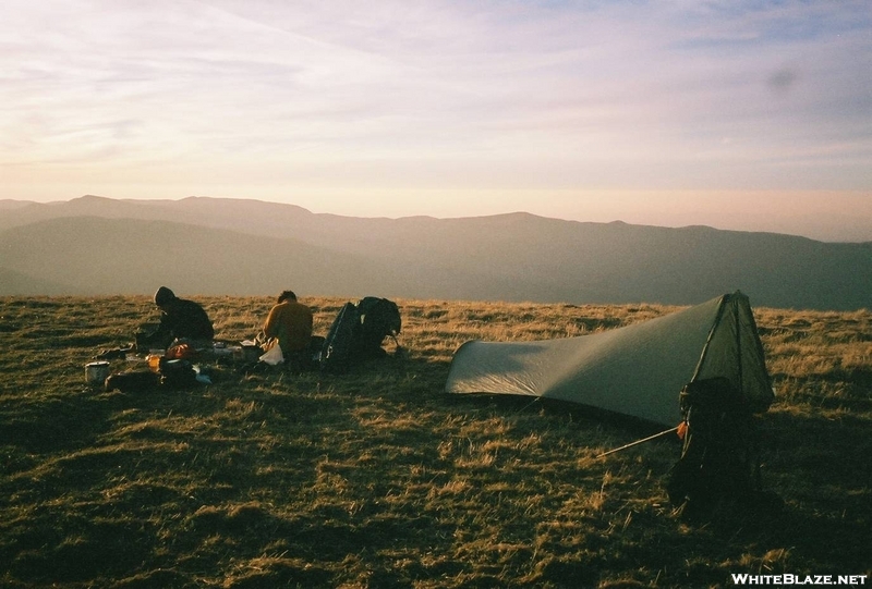 Max Patch