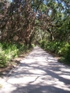 Cumberland Island Georgia by flagator in Other Trails