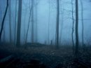 Early Morning Fog At Slaughter Creek Campsite by flagator in Section Hikers