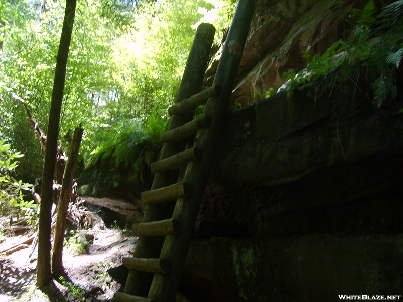 Ladder In Big South Fork