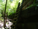 Ladder In Big South Fork by Farr Away in Other Trails