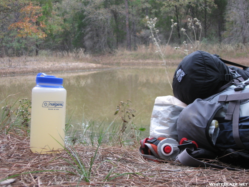 Water Pond In Texas