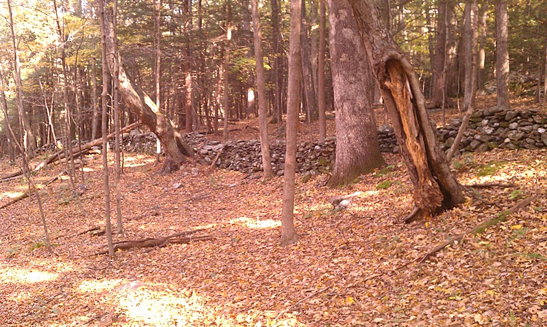 Old Field Wall