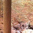 Sages Ravine 1 by Alligator in Trail and Blazes in Massachusetts